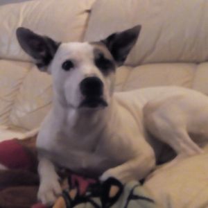 Meet your Posher, Jon